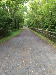 One Road Did Not Diverge in Green&nbsp;Woods